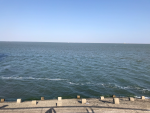 飞机旅游度假看海(手控控控 )-喵神素材库