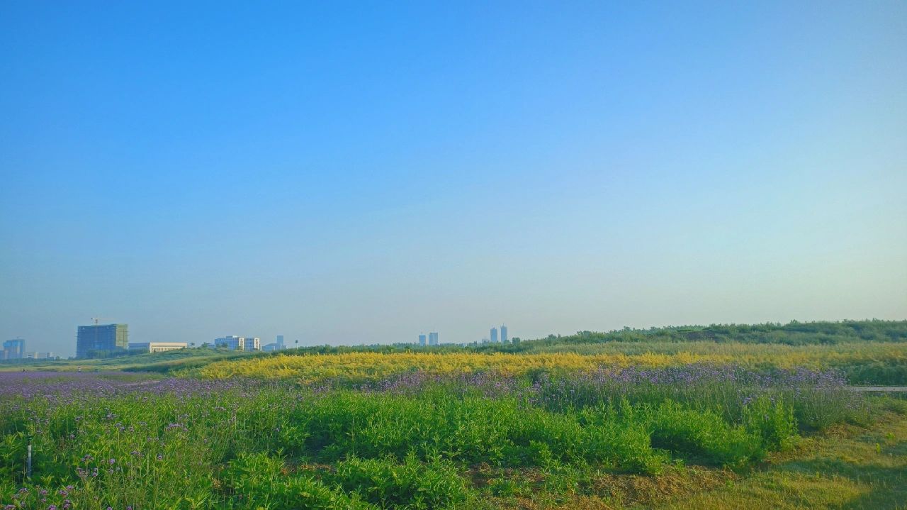 风景摄影拍照旅游(晨跑打卡 )-喵神素材库