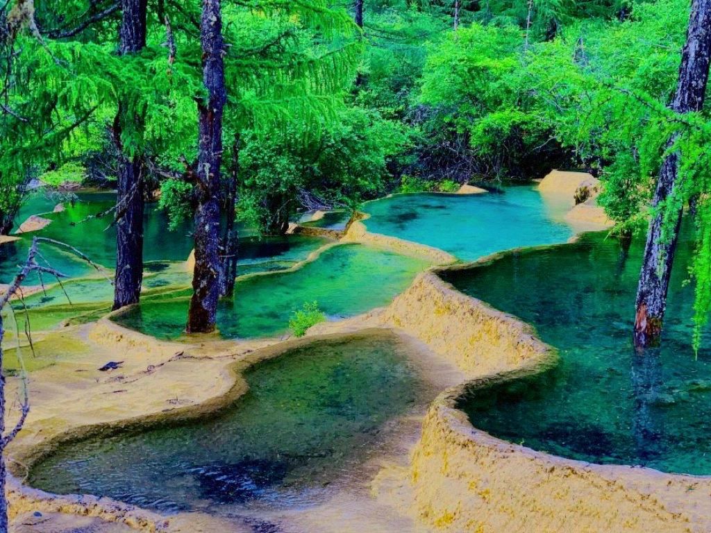 3旅游景点摄影黄龙风景名胜区 (以彩池、雪山、峡谷、森林“四绝”著称于世，再加上滩流、古寺、民俗，称为“七绝”，)-喵神素材库