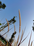 旅游旅行风景(天蓝，风轻，阳光暖暖……  ​​​ )-喵神素材库
