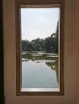 4杭州植物园风景旅游拍照(杭州植物园里面超级美)-喵神素材库