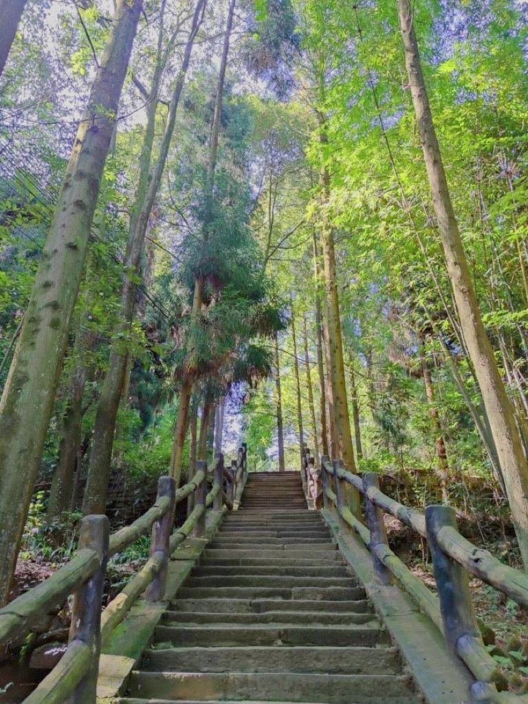 3旅游风景景点爬山丹景山(山峦迭翠，风光秀丽，自古就是“灵秀独钟”的“西蜀名山”，享有“丹岳位宗”之称\\t)-喵神素材库