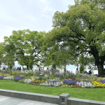 风景旅游西湖美景夕阳(这个时候的西湖太美了～今天看见好多帅哥美女又是开心的一天)-喵神素材库