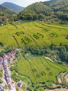 4大姆山草场海边风景拍照度假旅行(风吹草地见牛羊)-喵神素材库