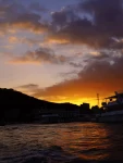 海边夜景冲浪旅游拍照(我的日常 )-喵神素材库