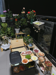美食晚餐烤肉自己家中阳台花园(三两好友|阳台烤个肉)-喵神素材库