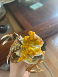 4阳澄湖大闸蟹海鲜美食螃蟹(晚餐的大闸蟹肥到飘起 )-喵神素材库