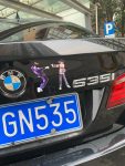 5宝马车标车牌贴纸(今天刚发现车牌和型号一样 )-喵神素材库