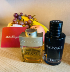 7男士香水宝格丽森林之光迪奥桀骜男士香水 (让人焕然一新的男士香水)-喵神素材库