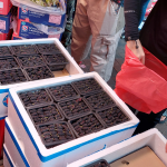 香港购物水果街拍逛街(泡完之後会从桑子里面出小虫子出来么？)-喵神素材库