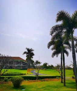 高尔夫球场景色球童电瓶车(不知道少了什么 总感觉没有从前快乐了 ​​​​)-喵神素材库