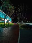 城市夜景建筑灯光车流(坚持就是，随时告诫自己，让锻炼成为一种习惯，健康才是财富，身体是革命的本钱…… )-喵神素材库