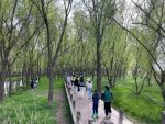 4南京鱼嘴湿地公园旅游风景拍照散步开车高速(两小时徒步行走)-喵神素材库