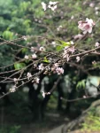 2运动鞋运动穿搭自拍花雨天车内(跑步7公里、46分钟)-喵神素材库