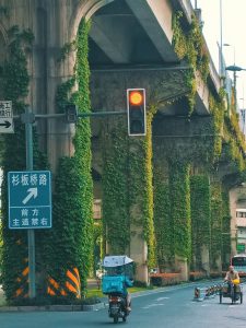 旅游美景拍照车流(高架本是钢筋水泥，冰冷无情，有了爬山虎的装饰，瞬间变得柔情浪漫。)-喵神素材库