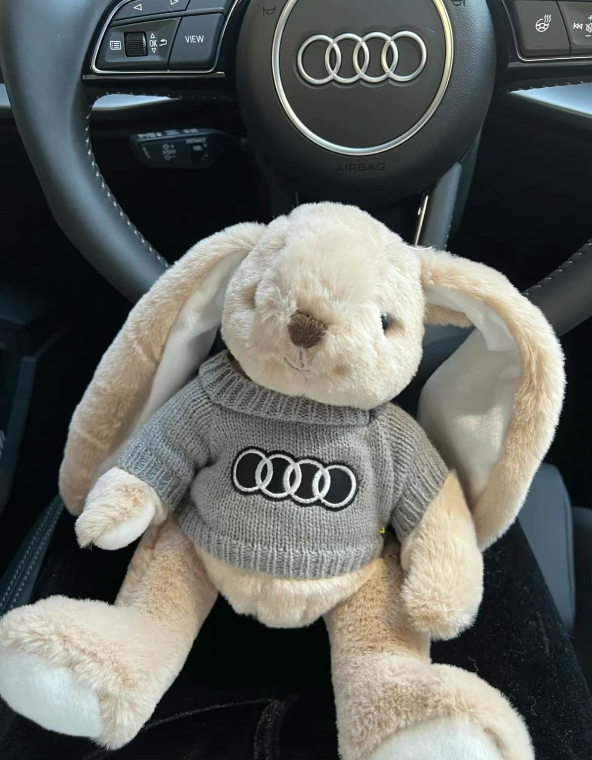 3豪车奥迪玩偶( 自己开心就好啦,少信些没意义的漂亮话。 )-喵神素材库