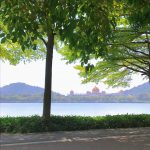 开车风景拍照夜宵(你从未见过爱情)-喵神素材库