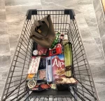 逛街购物购物车零食( 周末就是购物的时间)-喵神素材库