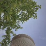 3傍晚鲜花月季豪车保时捷(有些事情体验过，就好啦～)-喵神素材库