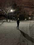 圣诞节雪景滑雪美食( 圣诞节，从特别美好又仪式感十足的早餐开始，札幌滑雪⛷️，海胆饭，公园夜跑)-喵神素材库