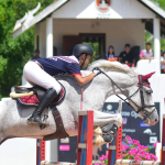 骑马锻炼骑术娱乐马衣(练习)-喵神素材库