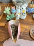 茶喝茶茶艺(午后喝北路的寿眉)-喵神素材库