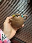 喝茶茶具茶生活茶艺紫砂壶(手工茶器 )-喵神素材库