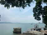 旅游景色船钢琴(真的太需要精神支柱了 要是每天有人能听我讲废话 在我受委屈是陪着我 不分青红皂白偏向我就好了)-喵神素材库