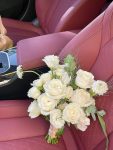 豪车内饰鲜花花束礼物包包( 我的鲜花)-喵神素材库