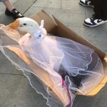 鸭晚饭生日礼物鸭肉自己做饭送礼物收礼物(对不起但真的有点好吃)-喵神素材库