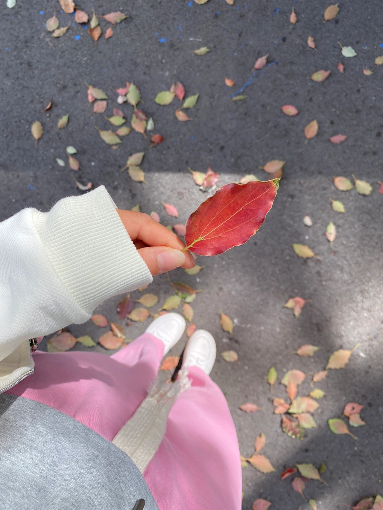 鲜花美女穿搭( 生活记录)-喵神素材库