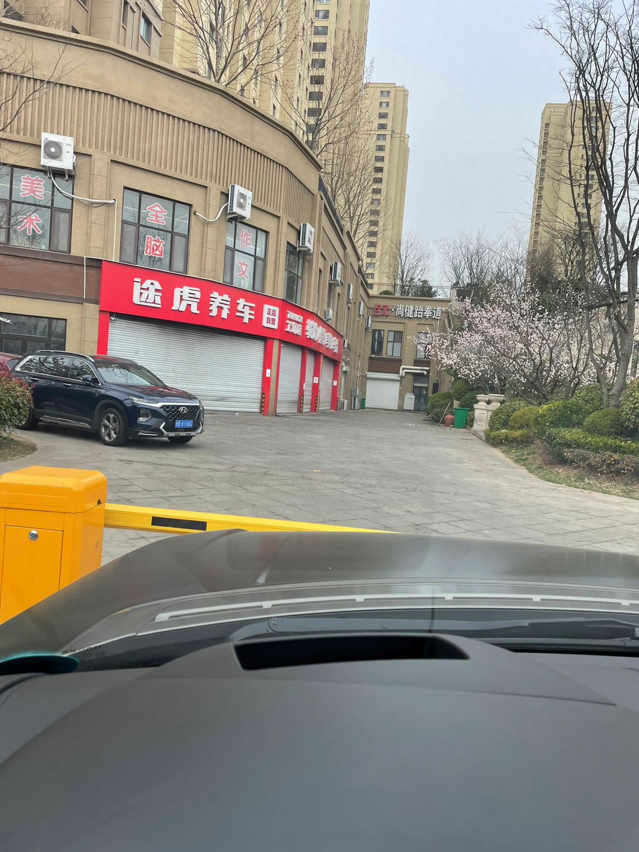 车城市鲜花美景( 美景开车)-喵神素材库