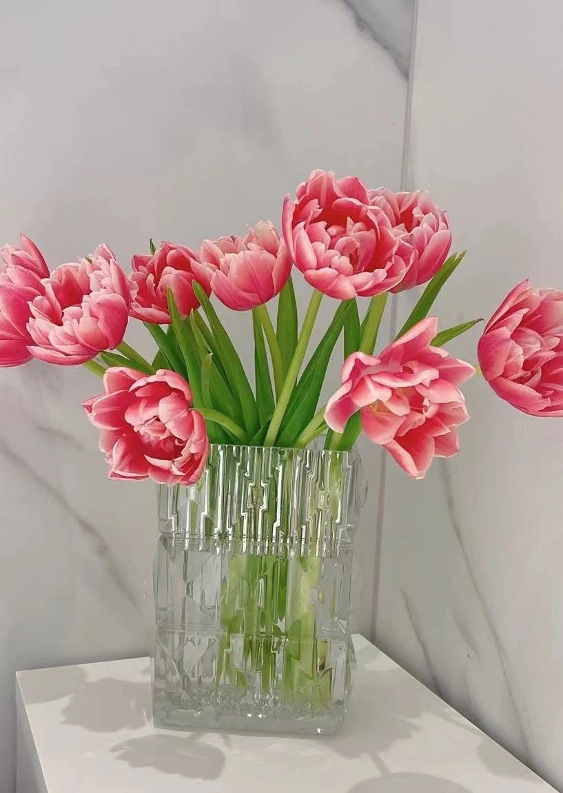4巴卡拉花瓶鲜花插花护肤品礼物(用花瓶点亮家  )-喵神素材库