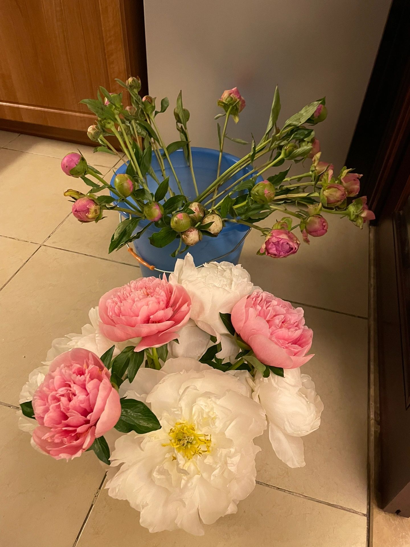 鲜花花束网购(网购的芍药翻车了)-喵神素材库
