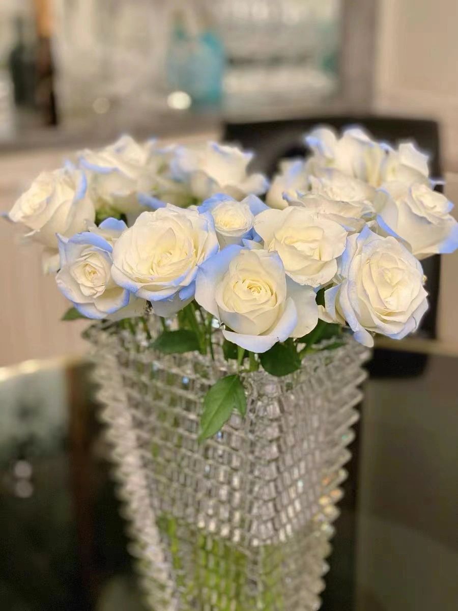 鲜花花束插花花艺花瓶(水晶玻璃又美又仙太适合我家的玫瑰花啦)-喵神素材库