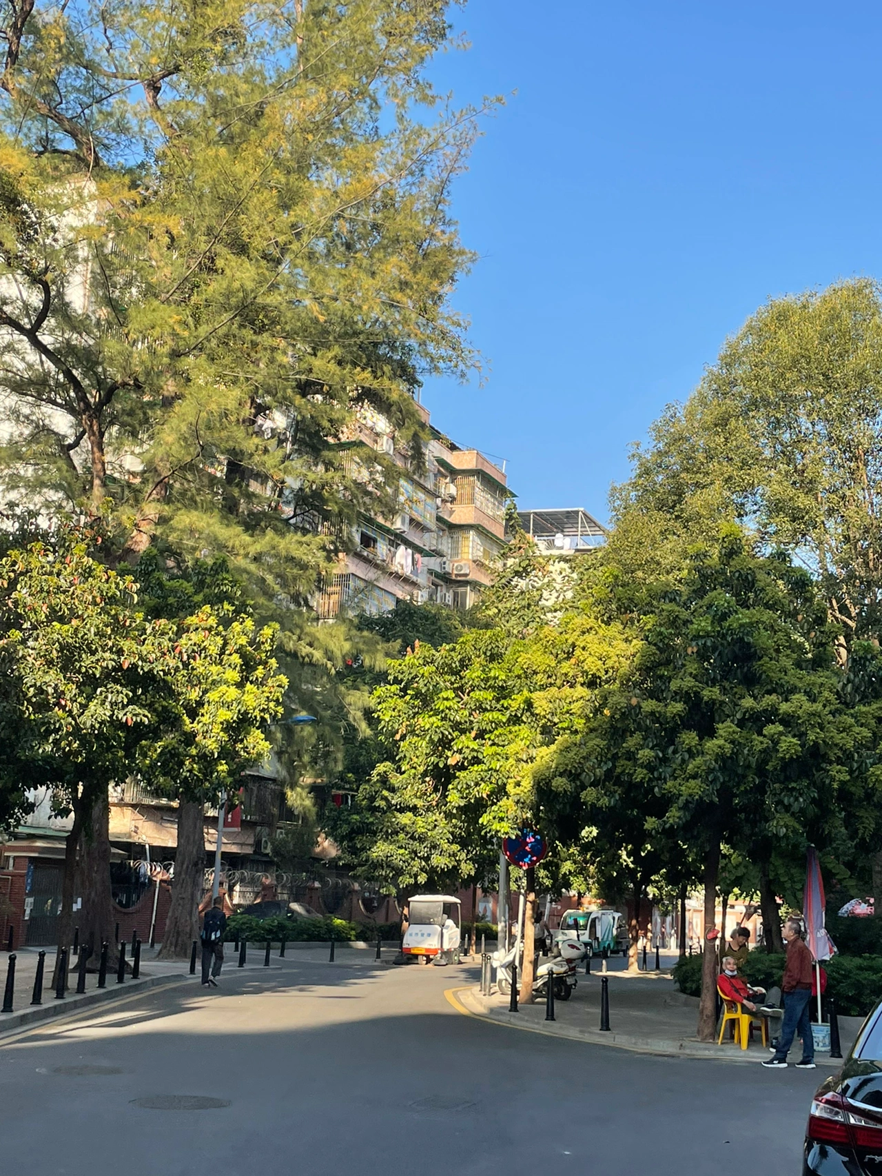 美景拍照旅游观光鲜花( 真的很漂亮\\t)-喵神素材库