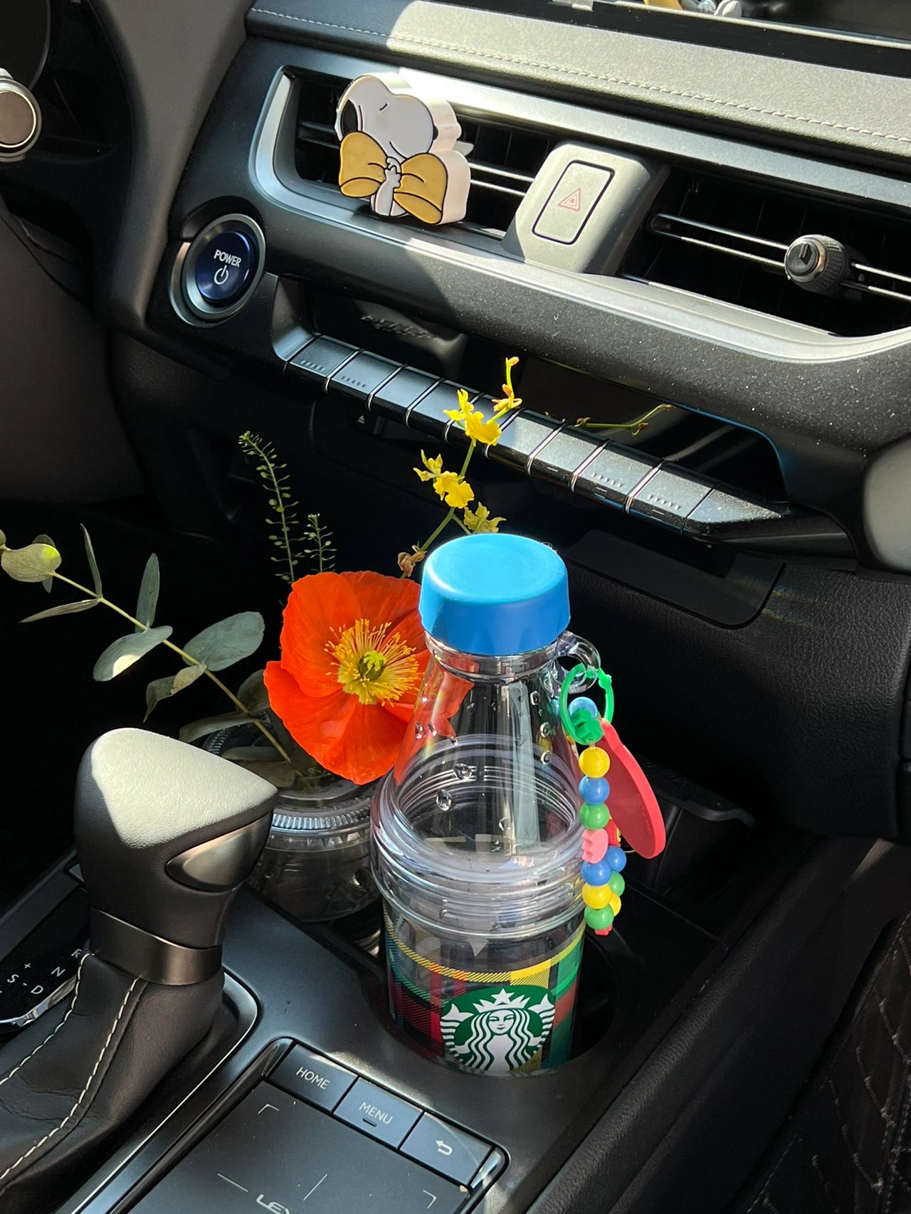 鲜花插花仪式感(点缀生活的鲜花 )-喵神素材库