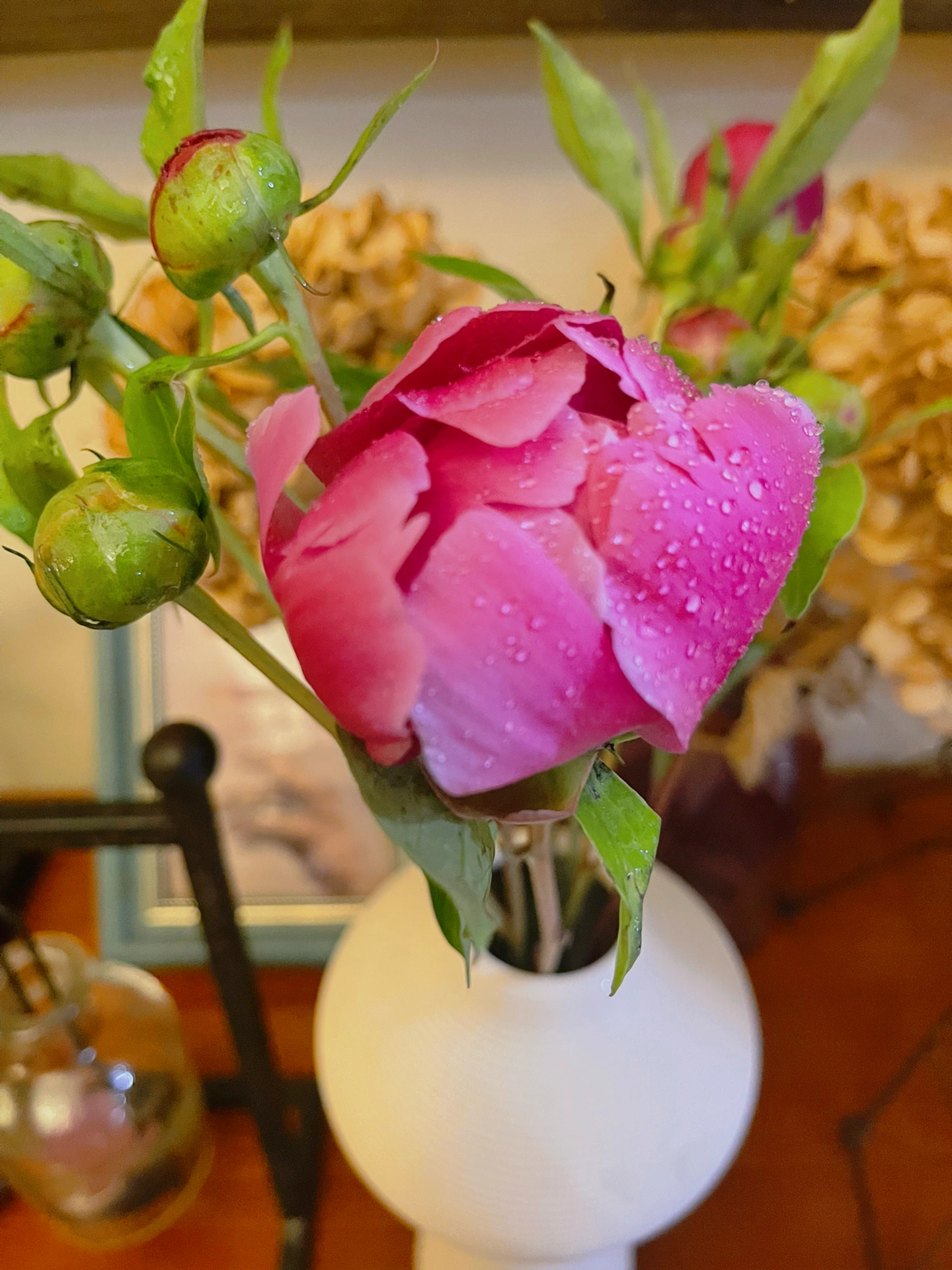 鲜花花卉插花绿植( 花香满屋)-喵神素材库