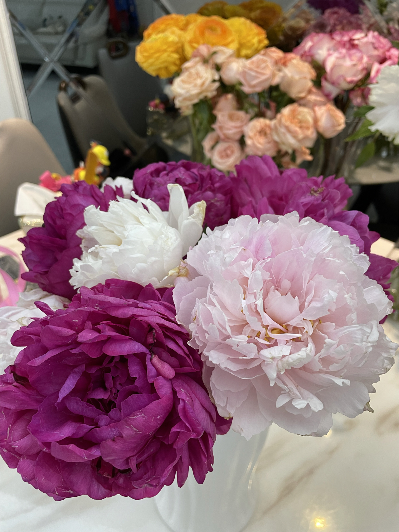 鲜花插花仪式感拍照(人间富贵花)-喵神素材库