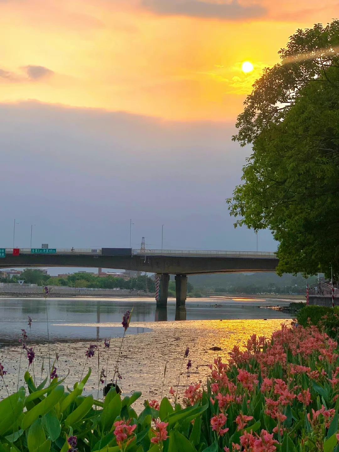 花鲜花美丽落日夕阳(为了下班,下班为了第二天上班,日复一日,慌慌张张也不过是为了碎银几两,可偏偏这碎银几两,压断了世人的肩膀,又是这碎银几两能解世间万种慌张,这就是生活！ )-喵神素材库