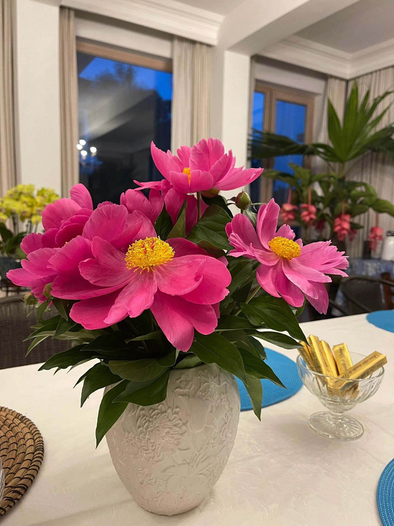 鲜花插花花艺海鲜三文鱼氛围感纪念日喝酒(无论外面的世界多么精彩，室内的插花对我来讲都不可缺少)-喵神素材库