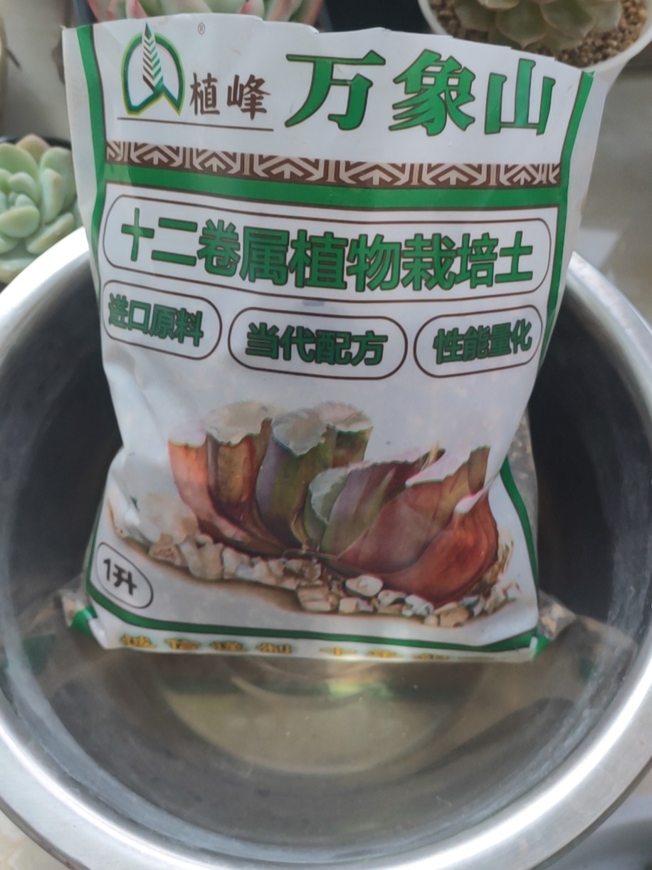 阳台花园鲜花绿植盆栽盆景多肉(这周阳光都很好，适合洗洗晒晒)-喵神素材库