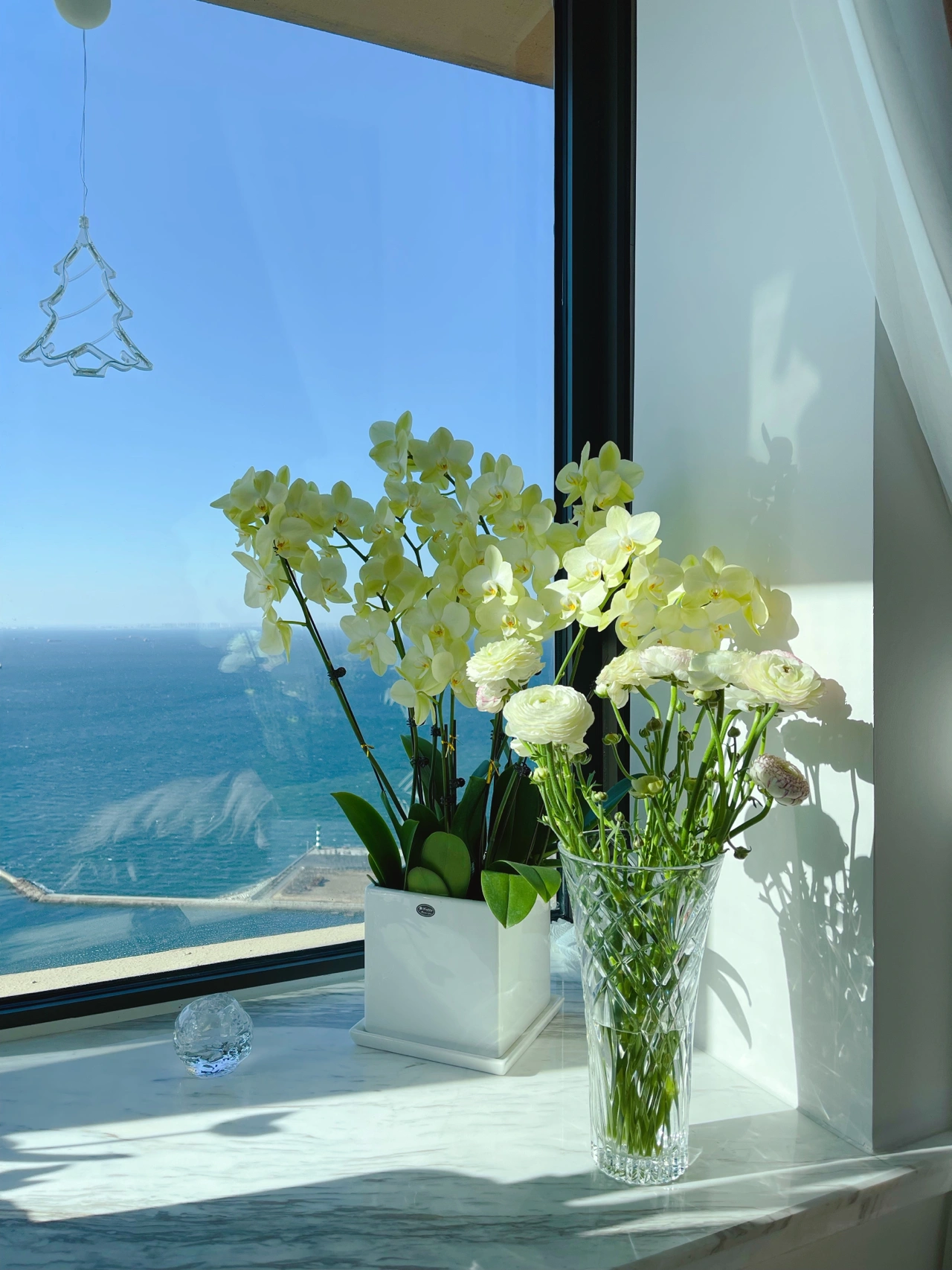阳台鲜花插花花瓶风景(家居家装日常  )-喵神素材库