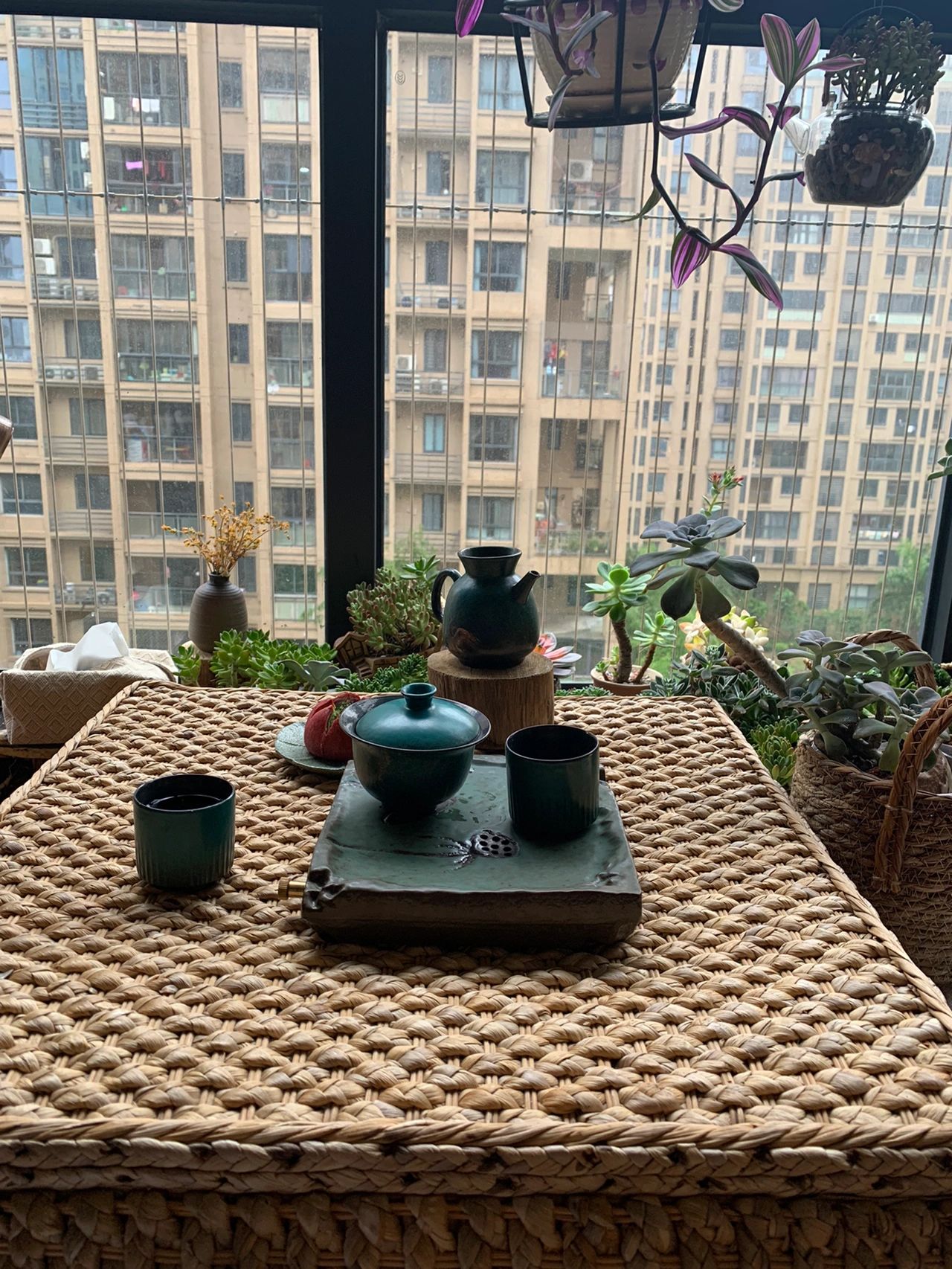 喝茶茶具茶生活茶器茶艺阳台鲜花绿植(我的宅家日常)-喵神素材库
