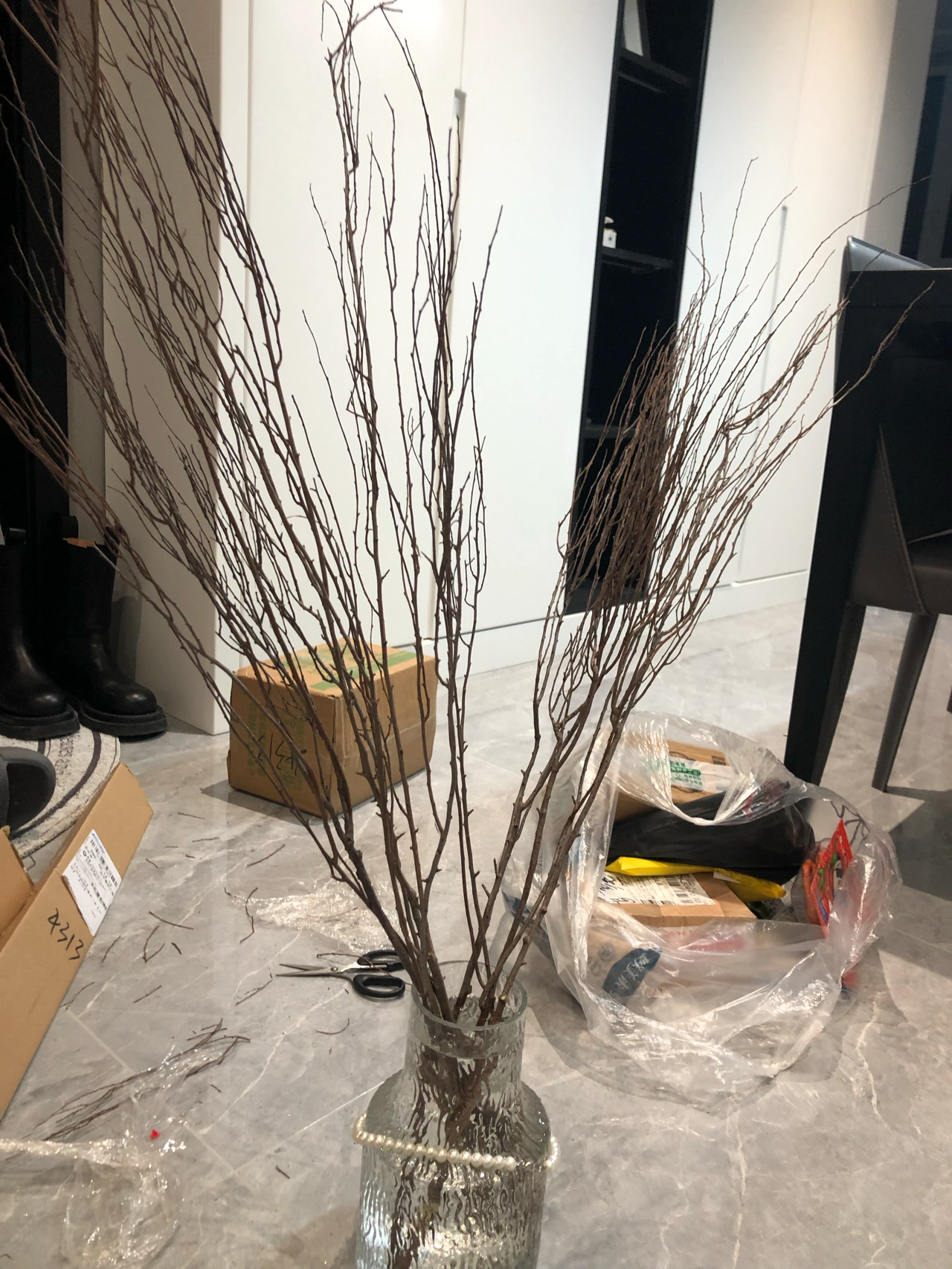 雪柳养花鲜花绿植(好多人说养雪柳质量参差不齐，今天刚收到看看什么效果，养的好过年应该可以开花了吧  )-喵神素材库
