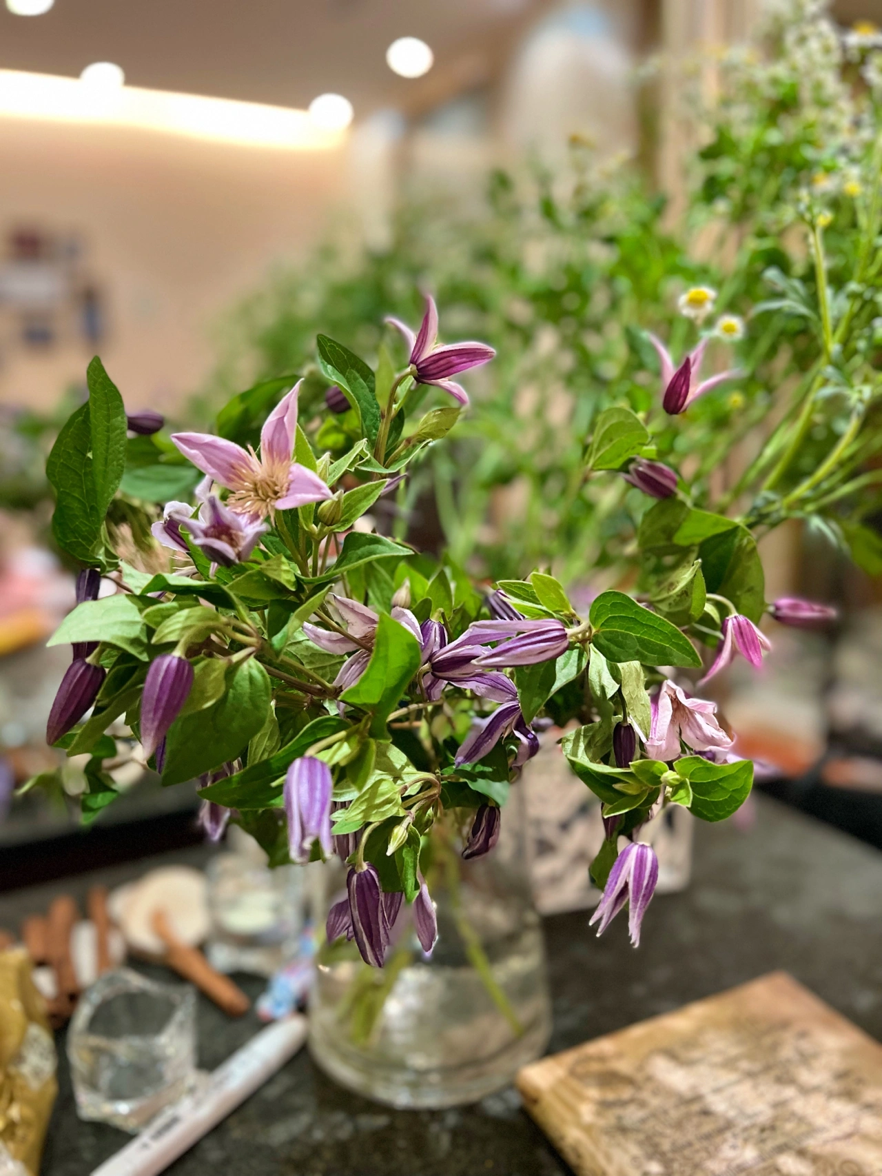 鲜花插花绿植(因为有你花便有了去处)-喵神素材库