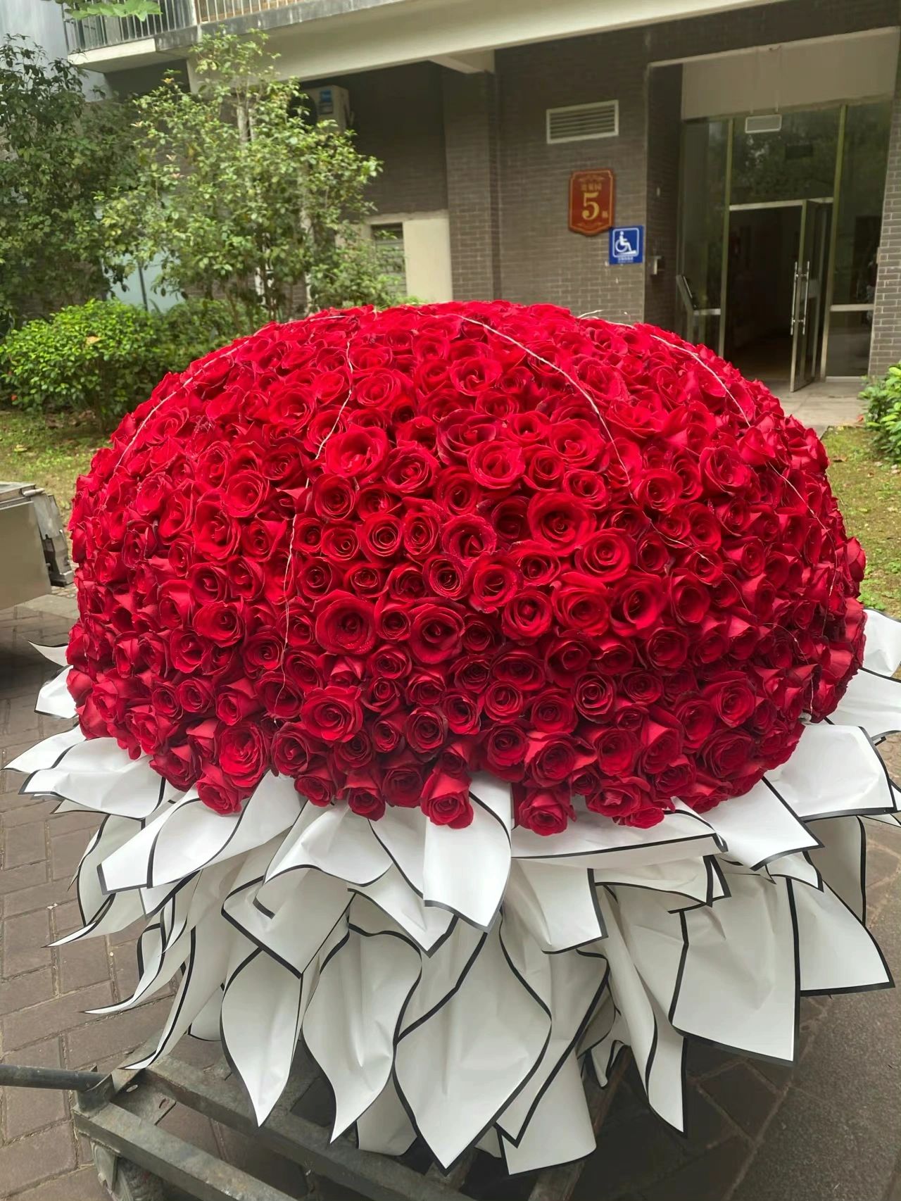 鲜花花束母亲节礼物(道从什么时候开始  已经不期待任何惊喜的发生 只希望不要再有突如其来的烦恼就好. )-喵神素材库