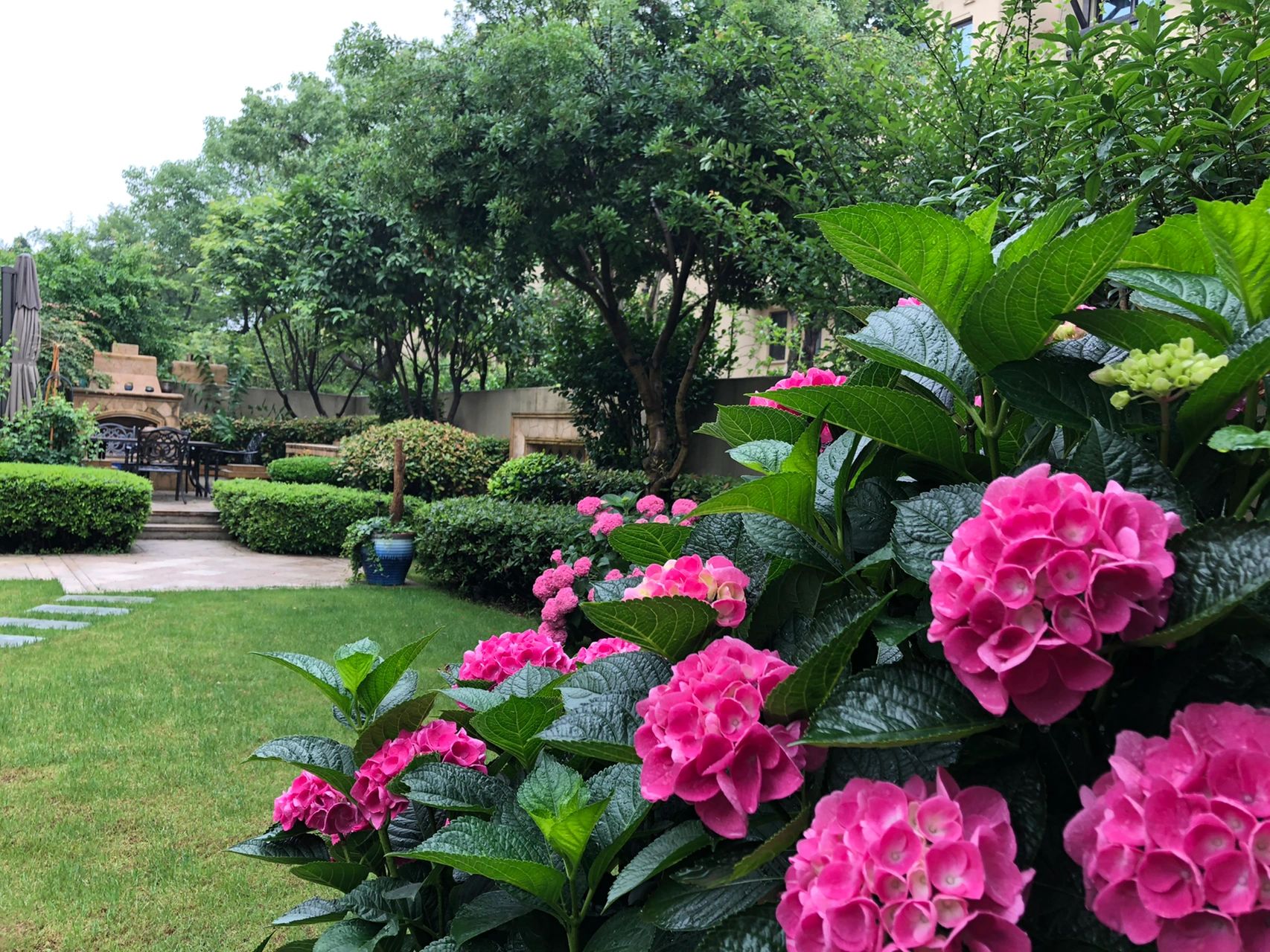 花园鲜花花卉绿植(我的秘密花园 )-喵神素材库