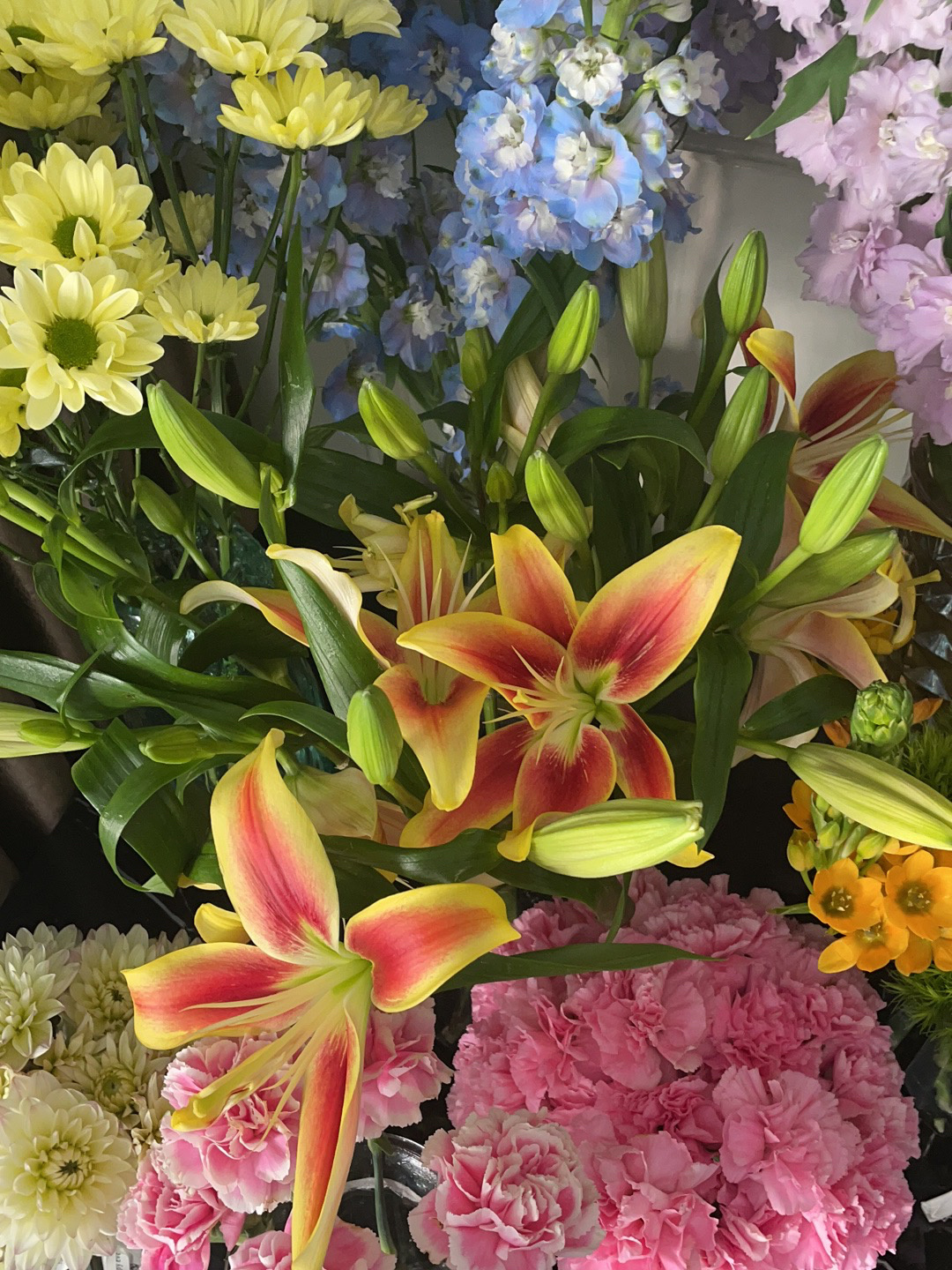 鲜花插花仪式感( 鲜花日常)-喵神素材库
