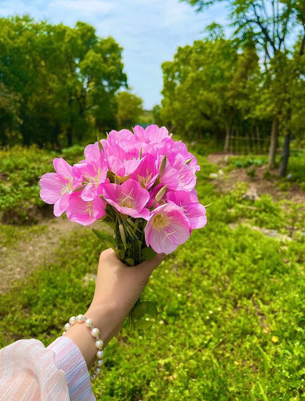 手手链鲜花(早安、鲜花)-喵神素材库